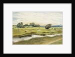 Ryton Meadows by James Henry Cleet
