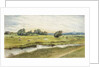 Ryton Meadows by James Henry Cleet