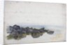 Study of Rocks by James Miller Brown