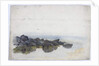 Study of Rocks by James Miller Brown