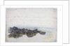 Study of Rocks by James Miller Brown