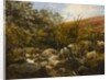 On the Black Burn, near Rothbury by Robinson Elliott