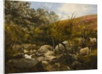 On the Black Burn, near Rothbury by Robinson Elliott