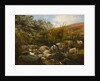 On the Black Burn, near Rothbury by Robinson Elliott