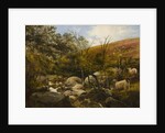 On the Black Burn, near Rothbury by Robinson Elliott