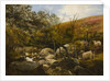 On the Black Burn, near Rothbury by Robinson Elliott