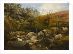 On the Black Burn, near Rothbury by Robinson Elliott