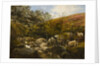 On the Black Burn, near Rothbury by Robinson Elliott