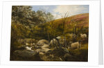 On the Black Burn, near Rothbury by Robinson Elliott