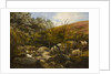 On the Black Burn, near Rothbury by Robinson Elliott