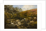 On the Black Burn, near Rothbury by Robinson Elliott