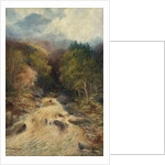 A Mountain Forest by J.H. Stanger