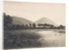 Yeavering Bell, Northumberland, c.1916 by Daniel Oliver