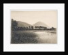 Yeavering Bell, Northumberland, c.1916 by Daniel Oliver