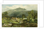 View in Borrowdale by James Peel