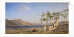 Trellis Vine on the Lake of Lugano by William Wilthieu Fenn