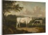 Kenwood, Lord Mansfield's Pedigree Cattle, 1797 by Julius Caesar Ibbetson