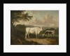 Kenwood, Lord Mansfield's Pedigree Cattle, 1797 by Julius Caesar Ibbetson