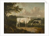 Kenwood, Lord Mansfield's Pedigree Cattle, 1797 by Julius Caesar Ibbetson
