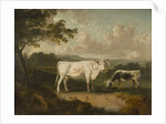 Kenwood, Lord Mansfield's Pedigree Cattle, 1797 by Julius Caesar Ibbetson