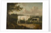 Kenwood, Lord Mansfield's Pedigree Cattle, 1797 by Julius Caesar Ibbetson