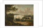 Kenwood, Lord Mansfield's Pedigree Cattle, 1797 by Julius Caesar Ibbetson