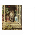 Blinking in the Sun, 1881 by Ralph Hedley