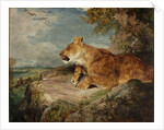 The Lioness, c.1824-27 by John Frederick Lewis