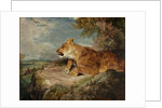 The Lioness, c.1824-27 by John Frederick Lewis