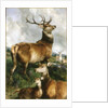 Deer of Chillingham Park, Northumberland, c.1867 by Edwin Landseer