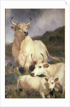 Wild Cattle of Chillingham, Northumberland, c.1867 by Edwin Landseer