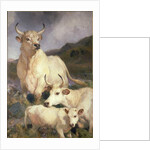 Wild Cattle of Chillingham, Northumberland, c.1867 by Edwin Landseer