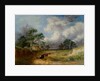 Landscape by George Cole