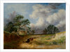 Landscape by George Cole