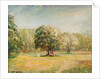 Blossom Time, Epping Forest, Essex by William Brown MacDougall