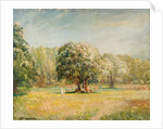 Blossom Time, Epping Forest, Essex by William Brown MacDougall