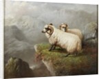Sheep on a Cliff Edge, c.1865-68 by George Hepper