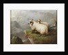 Sheep on a Cliff Edge, c.1865-68 by George Hepper
