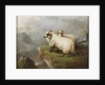 Sheep on a Cliff Edge, c.1865-68 by George Hepper