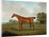 Chestnut Horse in a Landscape, 1815 by John Nost Sartorius