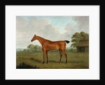 Chestnut Horse in a Landscape, 1815 by John Nost Sartorius