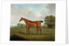 Chestnut Horse in a Landscape, 1815 by John Nost Sartorius