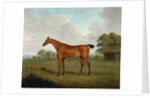 Chestnut Horse in a Landscape, 1815 by John Nost Sartorius
