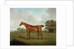 Chestnut Horse in a Landscape, 1815 by John Nost Sartorius