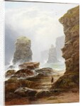 The Cliffs at Marsden Bay by George Blackie Sticks