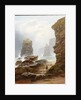 The Cliffs at Marsden Bay by George Blackie Sticks