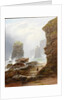 The Cliffs at Marsden Bay by George Blackie Sticks