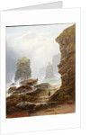 The Cliffs at Marsden Bay by George Blackie Sticks