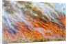 Bushfire Inferno, 2014 by Tilly Willis