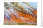 Bushfire Inferno, 2014 by Tilly Willis